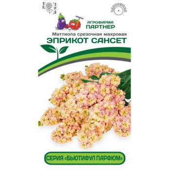 Маттиола срезочная махровая Бьютифул Парфюм Эприкот Сансет (10шт) /Партнер/