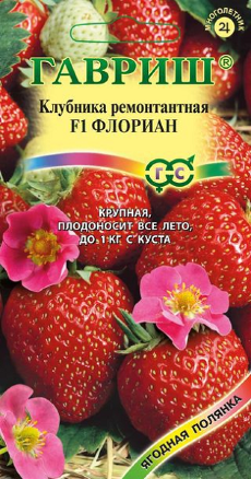 Земляника ремонтантная Флориан F1 крупноплодная /Гавриш/