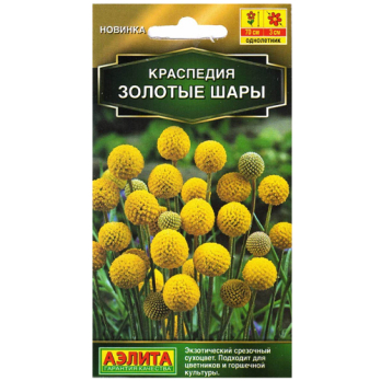 Краспедия Золотые шары /Аэлита/
