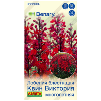 Лобелия многолетняя Квин Виктория /Аэлита/