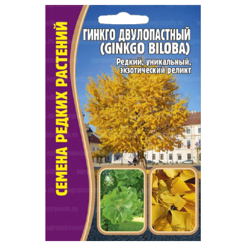 Гинкго Двулопастный (3шт) /Григорьев/