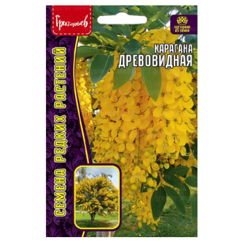 Карагана Древовидная (10шт) /Григорьев/