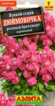 Левкой седой карликовый Дюймовочка Розовый бриллиант /Аэлита/