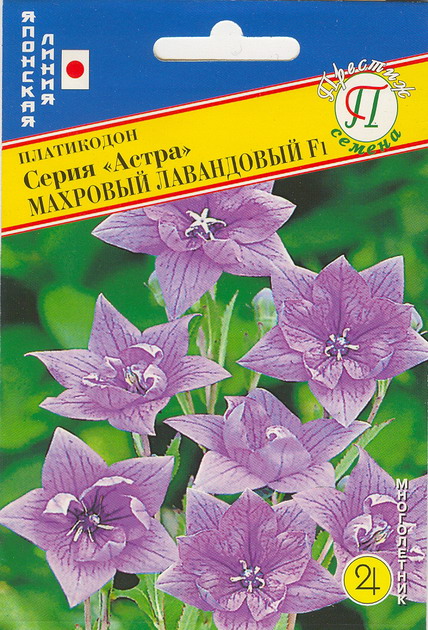 Платикодон Астра Махровый лавандовый F1 многолетник (5шт, Япония) /Престиж/