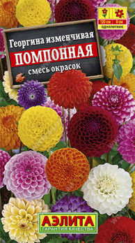 Георгина помпонная Смесь окрасок (Польша) /Аэлита/