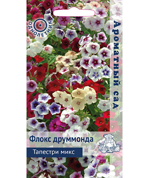 Флокс друммонда Тапестри микс /Поиск/ Ароматный сад