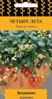 Земляника Искушение /Поиск/ Четыре лета