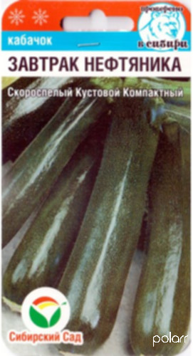 Кабачок Завтрак нефтяника /Сибирский сад/