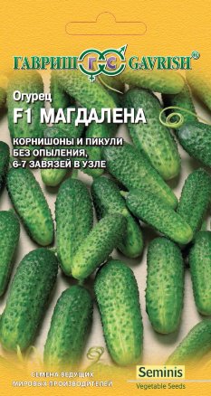 Огурец Магдалена F1 (5шт, Голландия) /Гавриш/