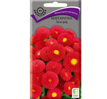 Маргаритка Тассо ред /Поиск/