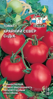 Томат Крайний Север СеДеК /Седек/