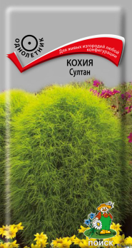 Кохия Султан (0,1 г) /Поиск/