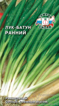 Лук батун Ранний /Седек/
