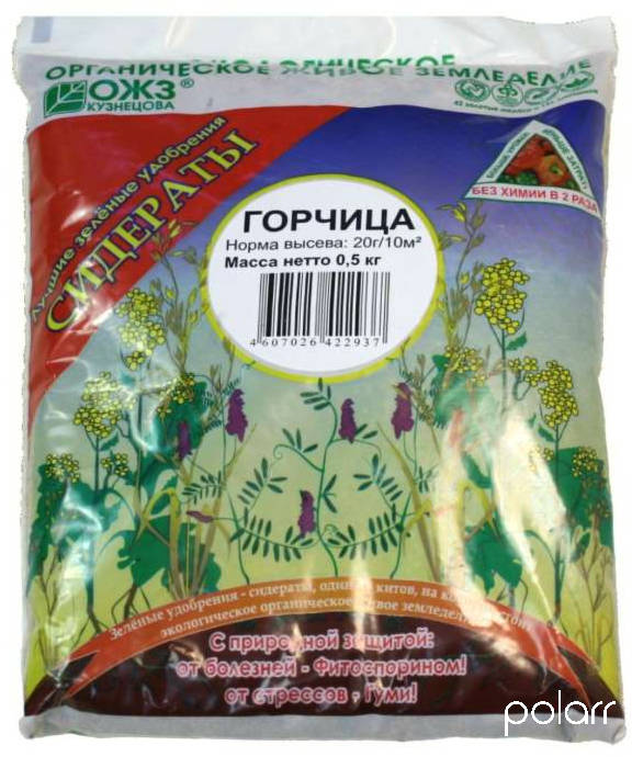 Горчица 0,5кг Зеленое удобрение /БашИнком/