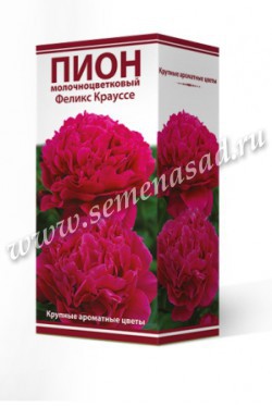 Пион молочноцветковый Феликс Крауссе /Поиск/