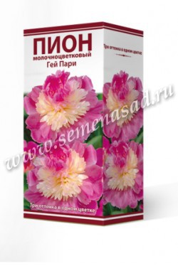 Пион молочноцветковый Гей Пари /Поиск/