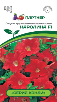 Петуния Кэнди Каролина F1 крупноцветковая прямостоячая фламинго (5шт) /Партнер/