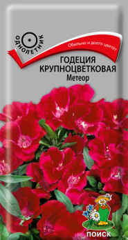 Годеция крупноцветковая Метеор (0,2 г) /Поиск/