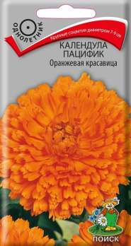 Календула пацифик Оранжевая красавица /Поиск/
