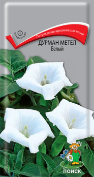 Дурман метел Белый (1 г) /Поиск/
