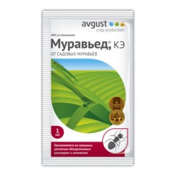 Муравьед 1 мл /Август/ Закончилась регистрация! Больше не будет!