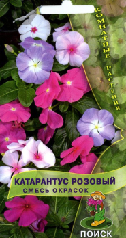 Катарантус Розовый смесь окрасок /Поиск/