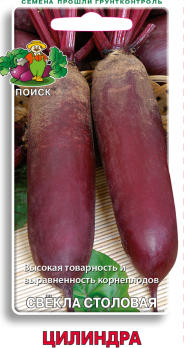 Свекла Цилиндра /Поиск/