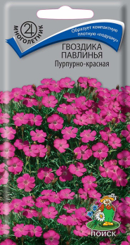 Гвоздика Павлинья пурпурно-красная /Поиск/