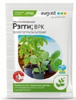 Рэгги 1мл /Август/