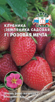 Земляника ремонтантная Розовая мечта F1 крупноплодная /Седек/