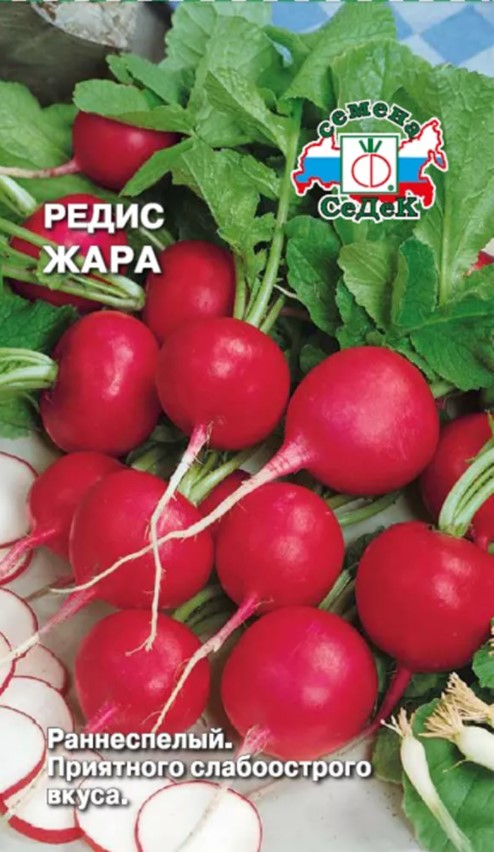 Редис Жара /Седек/