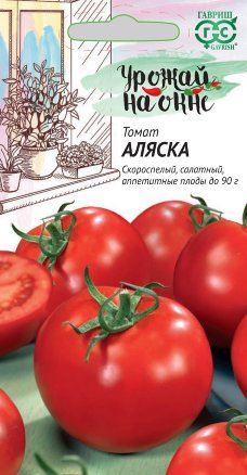 Томат Аляска /Гавриш/ Урожай на окне