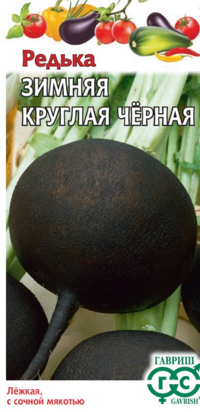 Редька Зимняя круглая черная /Гавриш/
