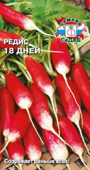 Редис 18 дней /Седек/
