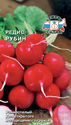 Редис Рубин /Седек/