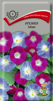 Ипомея Забава (1 г) /Поиск/
