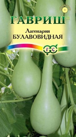 Лагенария Булавовидная /Гавриш/
