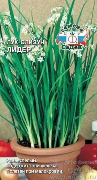 Лук слизун Лидер /Седек/