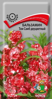 Бальзамин Том Самб двуцветный /Поиск/