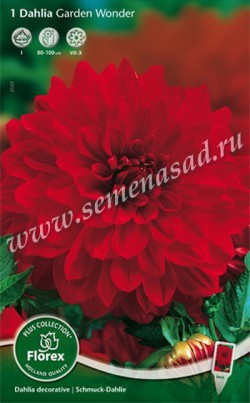 Георгина Декоративная Гадэн Вандэ 2107 (красный, 1 шт, I ) /Поиск/