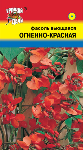 Фасоль Вьющаяся Огненно-красная /Урожай удачи/