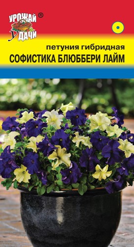 Петуния Софистика Блюббери Лайм /Урожай удачи/