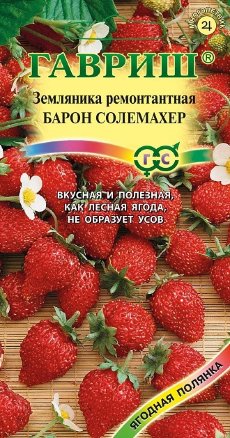 Земляника ремонтантная Барон Салемахер /Гавриш/