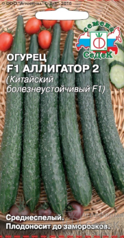 Огурец Аллигатор 2 F1 (Китайский болезнеустойчивый F1) /Седек/