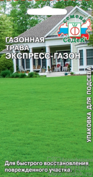 Газонная трава Экспресс 25г /Седек/