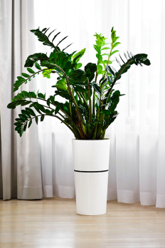 Кашпо Double Flowerpot из 2-х частей d25,h46,5 см белый /Флора-Пласт/DDB25