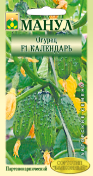 Огурец Календарь F1 (10шт, Авторские) /Манул/ Балконный